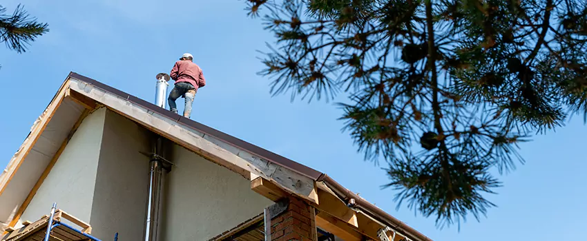 Birds Removal Contractors from Chimney in Middleburg Heights, OH